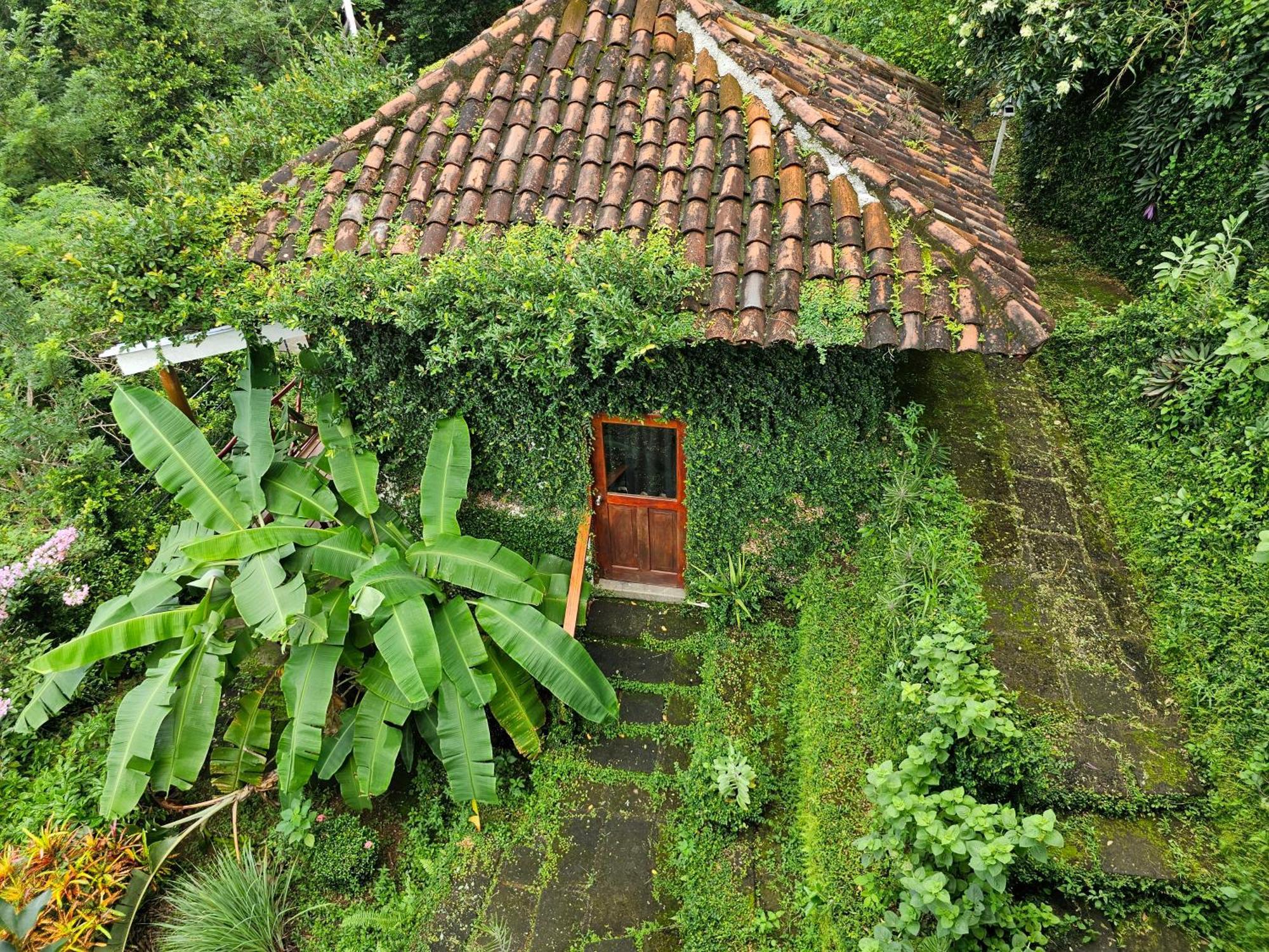 מלון סן חואן דל סור Casa Andalucia מראה חיצוני תמונה